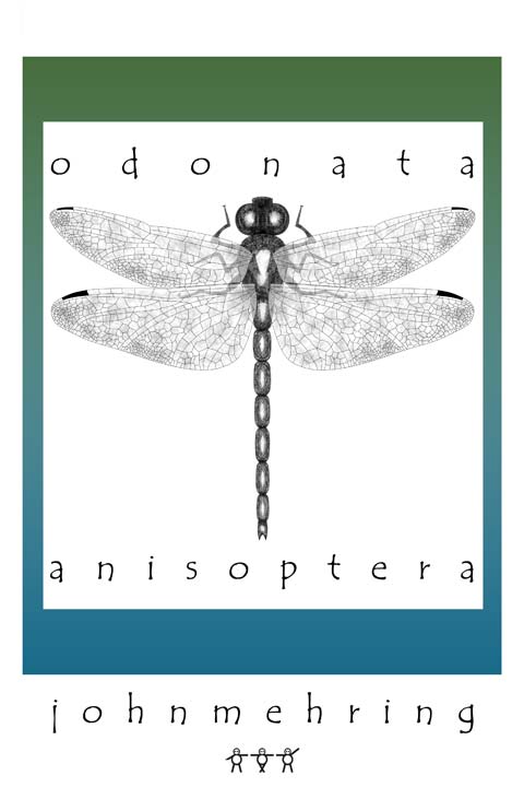 dragon fly